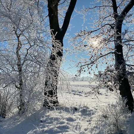 아파트 Schoener Winkel *