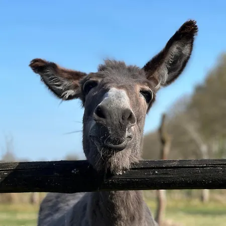 아파트 Schoener Winkel Schaafwinkel