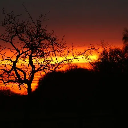 아파트 Schoener Winkel *