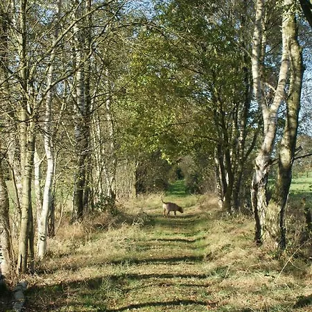 Schoener Winkel 아파트 *