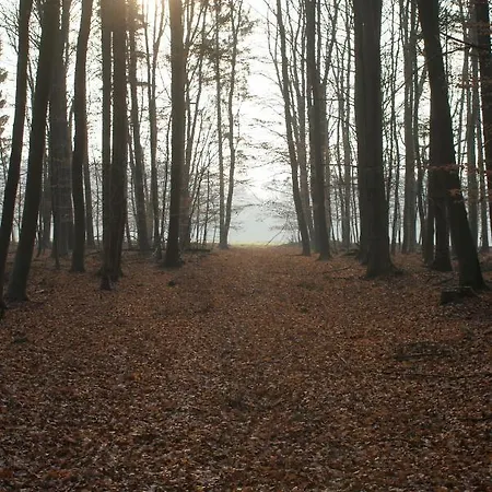 아파트 Schoener Winkel *