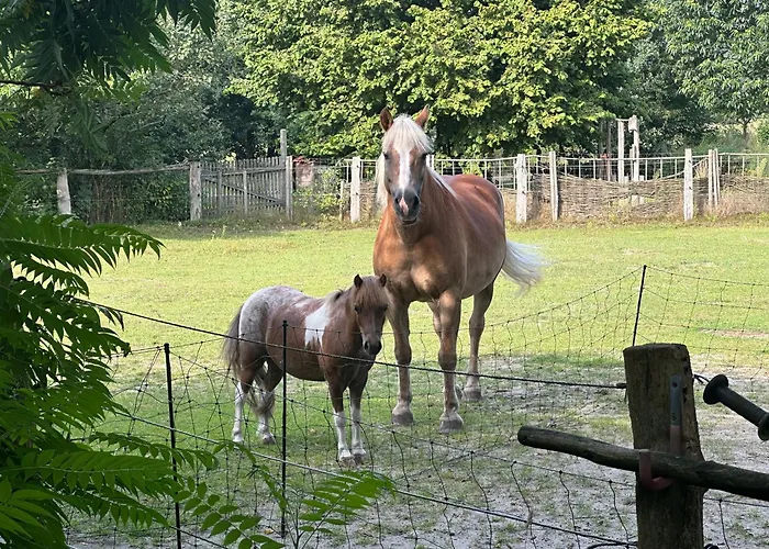 شقة Schoener Winkel