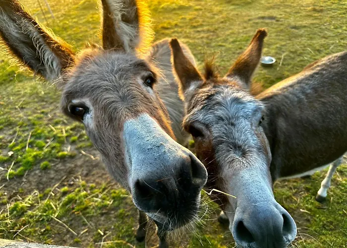 شقة Schoener Winkel *