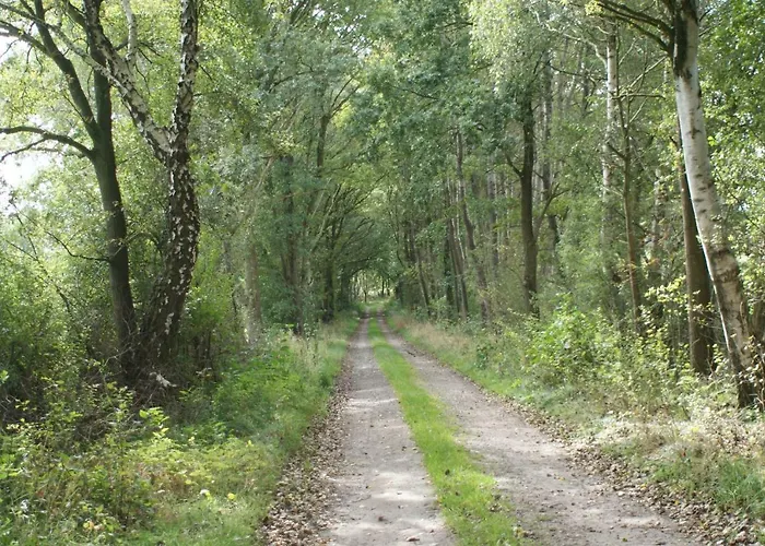 شقة Schoener Winkel Schaafwinkel