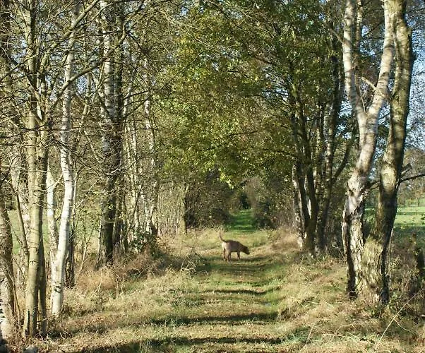 Schoener Winkel شقة *