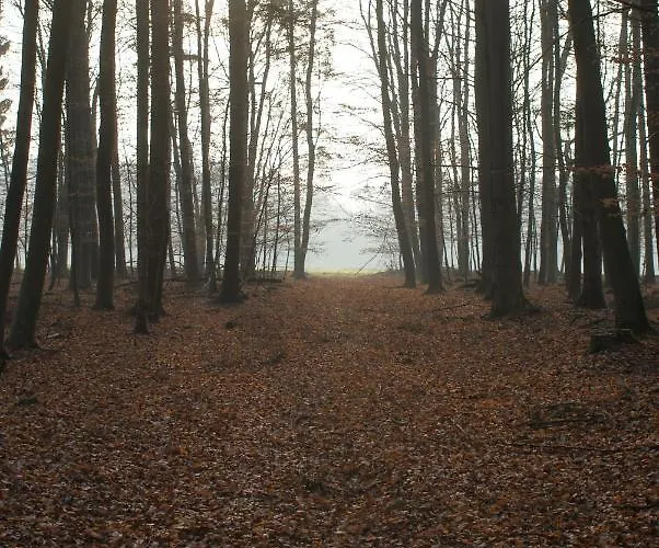 شقة Schoener Winkel *